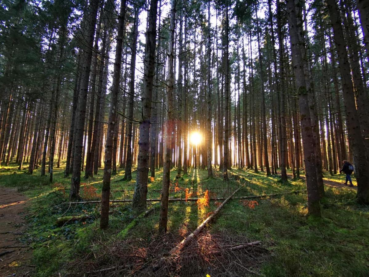 Landhotel Haeuserl Im Wald Grobming Zewnętrze zdjęcie